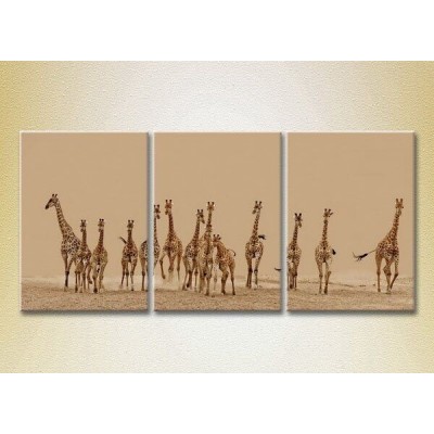 Картина Magic Color Triptych Herd of Giraffes 01 (2699007)