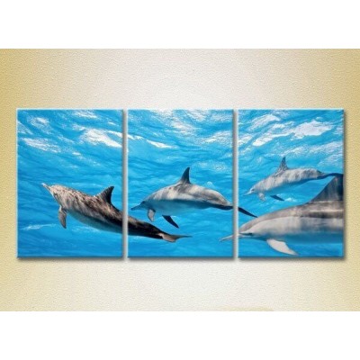 Картина Magic Color Triptych Flock of Dolphins (2699009)