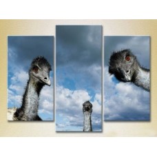 Картина Magic Color Triptych Ostriches 03 (2699011)