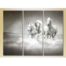 Картина Magic Color Triptych Three White Horses (2699015)