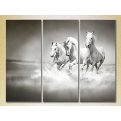 Pictură Magic Color Triptych Three White Horses (2699015)