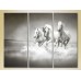 Pictură Magic Color Triptych Three White Horses (2699015)