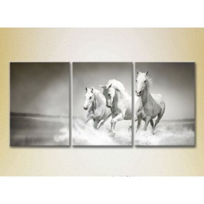 Картина Magic Color Triptych Three White Horses 02 (2699016)