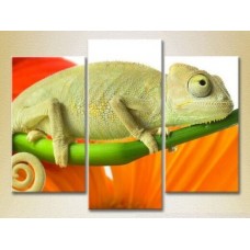 Картина Magic Color Triptych Chameleon 01 (2699018)