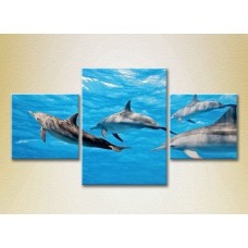 Картина Magic Color Triptych Dolphin Flock 01 (2699019)