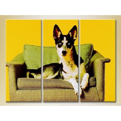 Картина Magic Color Triptych Dog on an armchair 02 (2699020)