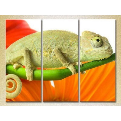 Картина Magic Color Triptych Chameleon 02 (2699024)