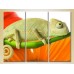 Картина Magic Color Triptych Chameleon 02 (2699024)