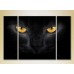 Картина Magic Color Triptych Black Cat Eyes (2698969)