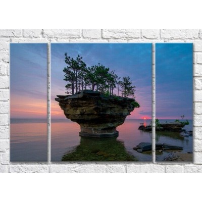 Pictură Magic Color Rocky rocks with trees at sunset (3469234)