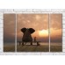 Картина Magic Color Dreaming elephant by the sea (3469237)