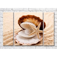 Картина Magic Color Shell with pearl and starfish on the sand (3469230)