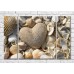 Картина Magic Color Heart-shaped stone with shells (3469224)