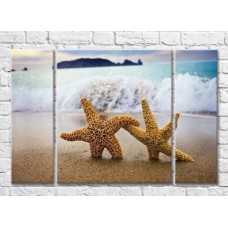 Картина Magic Color Two starfish on a wave background (3469216)