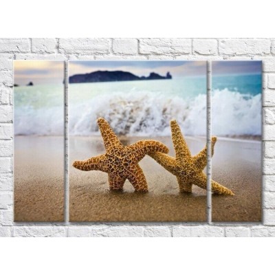 Картина Magic Color Two starfish on a wave background (3469216)