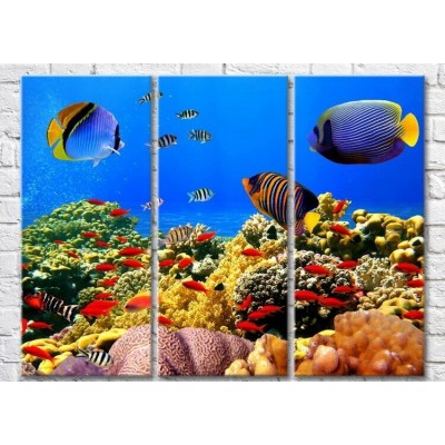 Pictură Magic Color Bluefish swimming in the sea (3469196)