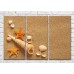 Картина Magic Color Seashells and starfish on a sandy beach (3469188)