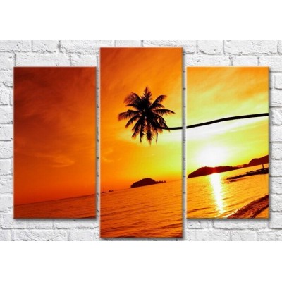 Картина Magic Color Palm trees on a background of Yellow sunset (3469172)