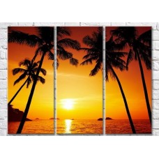 Картина Magic Color Palm trees and Yellow setting sun (3469175)