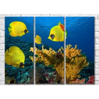 Картина Magic Color Corals and Yellow fish at the bottom (3469177)