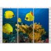 Картина Magic Color Corals and Yellow fish at the bottom (3469177)