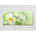 Pictură Magic Color White chamomile with narrow petals (500064)