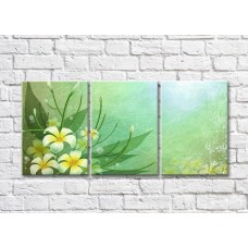 Картина Magic Color White and yellow plumeria flowers on abstract green background (500065)