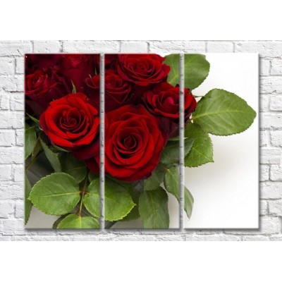 Pictură Magic Color Burgundy roses and green leaves (500106)