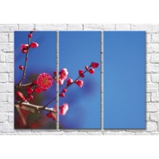 Pictură Magic Color Sakura branches on a sky background (500227)