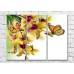 Pictură Magic Color Bright orchid branches and colorful butterflies (500229)