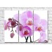 Pictură Magic Color Twigs of a pink orchid with large flowers and buds (500239)