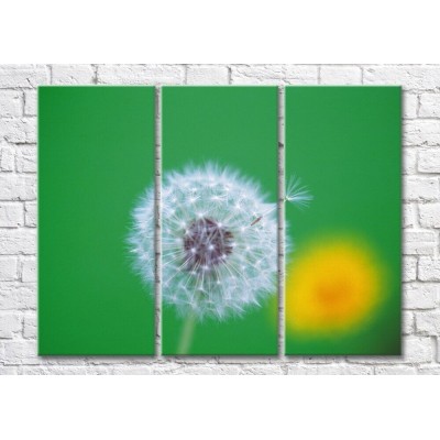 Картина Magic Color Air and yellow dandelions on a green background (500240)