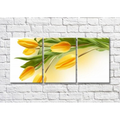 Картина Magic Color Elongated and pointed flowers of yellow tulips (500244)