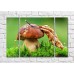 Pictură Magic Color Mushroom and withered leaf on green plant background (500250)