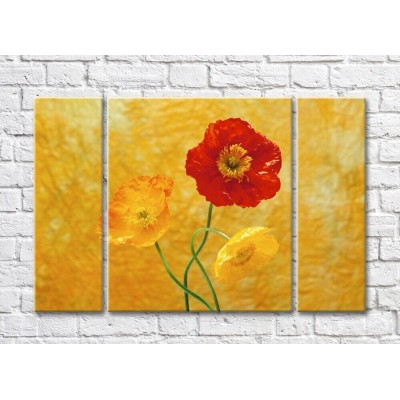 Pictură Magic Color Two yellow poppies and one red poppy on a yellow background (500253)