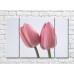 Картина Magic Color Two pink tulips on a gray background (500255)