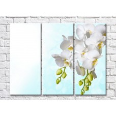 Картина Rainbow Two branches of white orchids on a blue background (500261)