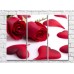 Картина Rainbow Two red roses and heart shaped petals (500264)