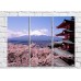 Картина Rainbow Sakura tree and Japanese pagoda against the backdrop of Mount Fuji (500269)