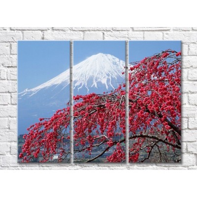 Картина Rainbow Sakura tree on the background of Mount Fuji (500272)