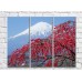 Картина Rainbow Sakura tree on the background of Mount Fuji (500272)