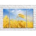 Pictură Rainbow Yellow wheat field against blue sky background (500275)