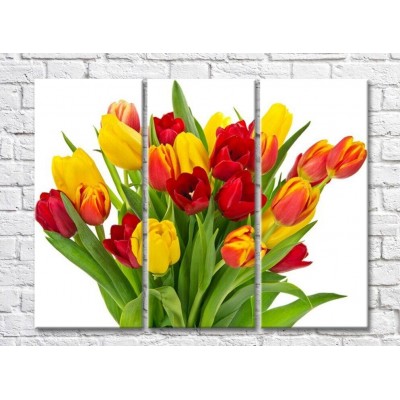 Картина Rainbow Yellow red orange tulip bouquet (500279)