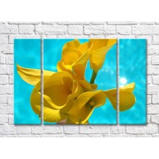 Pictură Rainbow Yellow calla lilies on a turquoise background (500285)