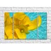 Pictură Rainbow Yellow calla lilies on blue water background (500286)