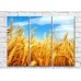 Pictură Rainbow Yellow ears of wheat against the blue sky (500288)