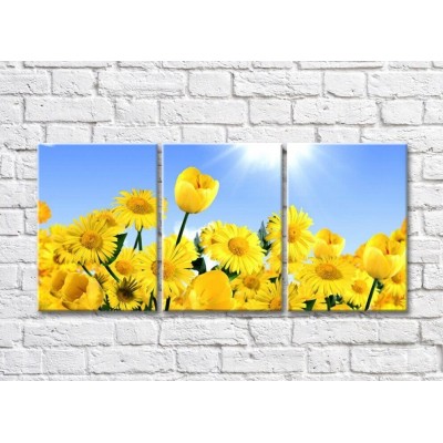 Pictură Rainbow Yellow daisies and tulips on a blue sunny sky background (500291)