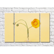 Картина Rainbow Yellow poppy and two buds in a spiral vase (500299)