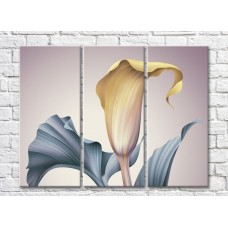 Картина Rainbow Yellow calla flower and leaves on a gray background (500300)