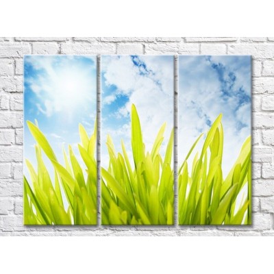 Картина Rainbow Green grass against an azure sky (500308)